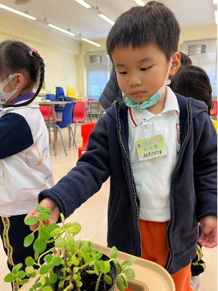 幼兒環境教育課程(二)香草體驗