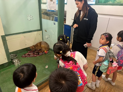 教育講座及愛護動物協會領養部參觀